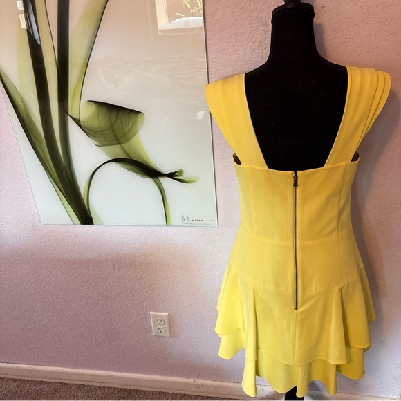 New Alice and Olivia dress size 10 - Picture 4 of 6